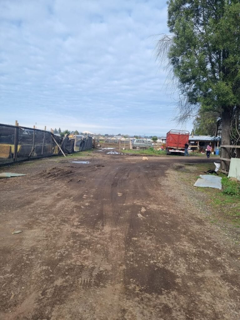Imagen de WhatsApp 2025-08-04 a las 15.42.17_db28ed3e