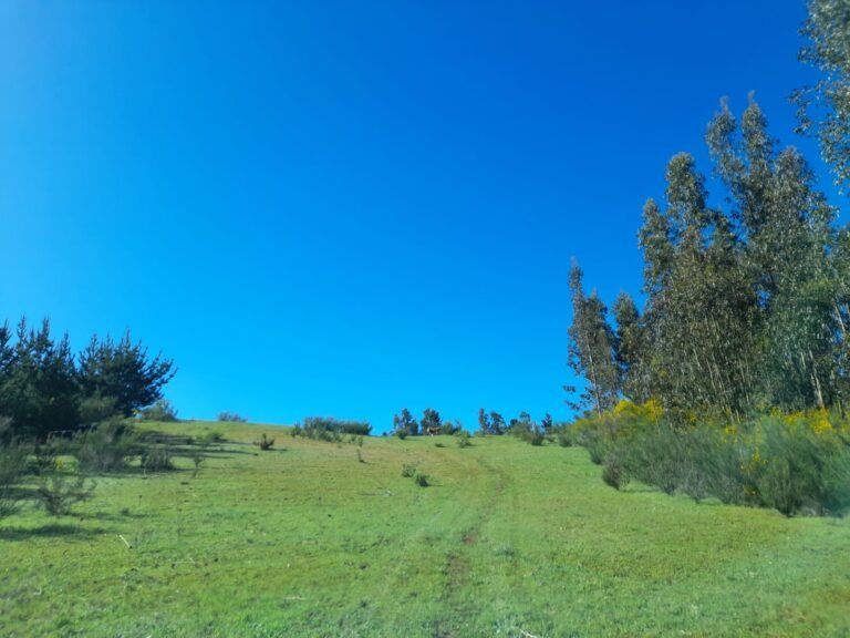 Imagen de WhatsApp 2025-08-11 a las 17.49.21_d08979c9
